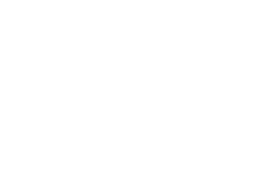 SAE Institute